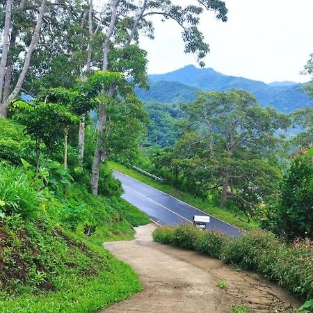 Filomena Lodge Ende Ngoại thất bức ảnh