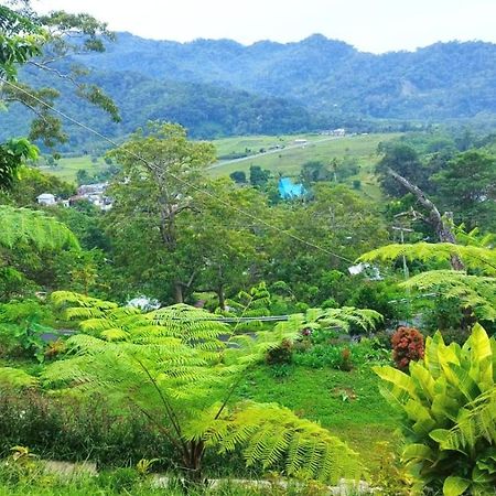 Filomena Lodge Ende Ngoại thất bức ảnh