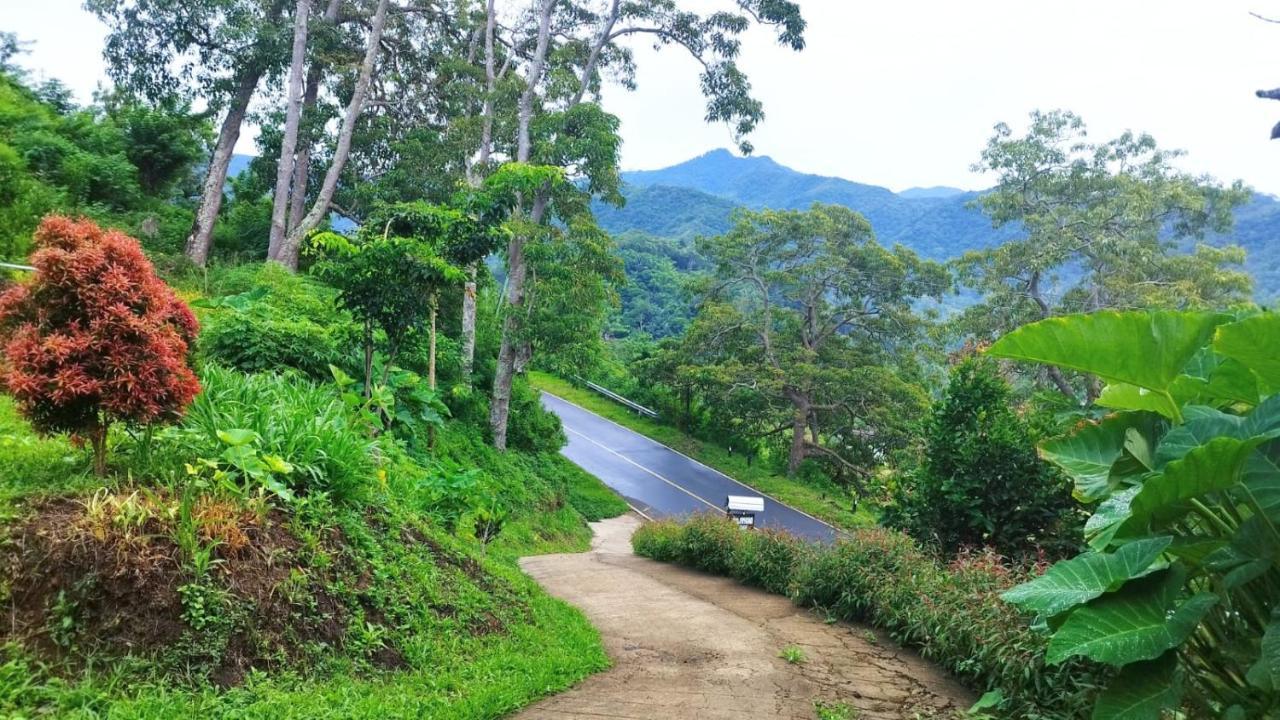 Filomena Lodge Ende Ngoại thất bức ảnh