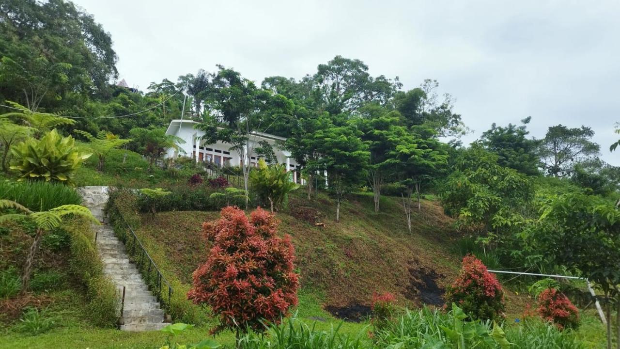 Filomena Lodge Ende Ngoại thất bức ảnh